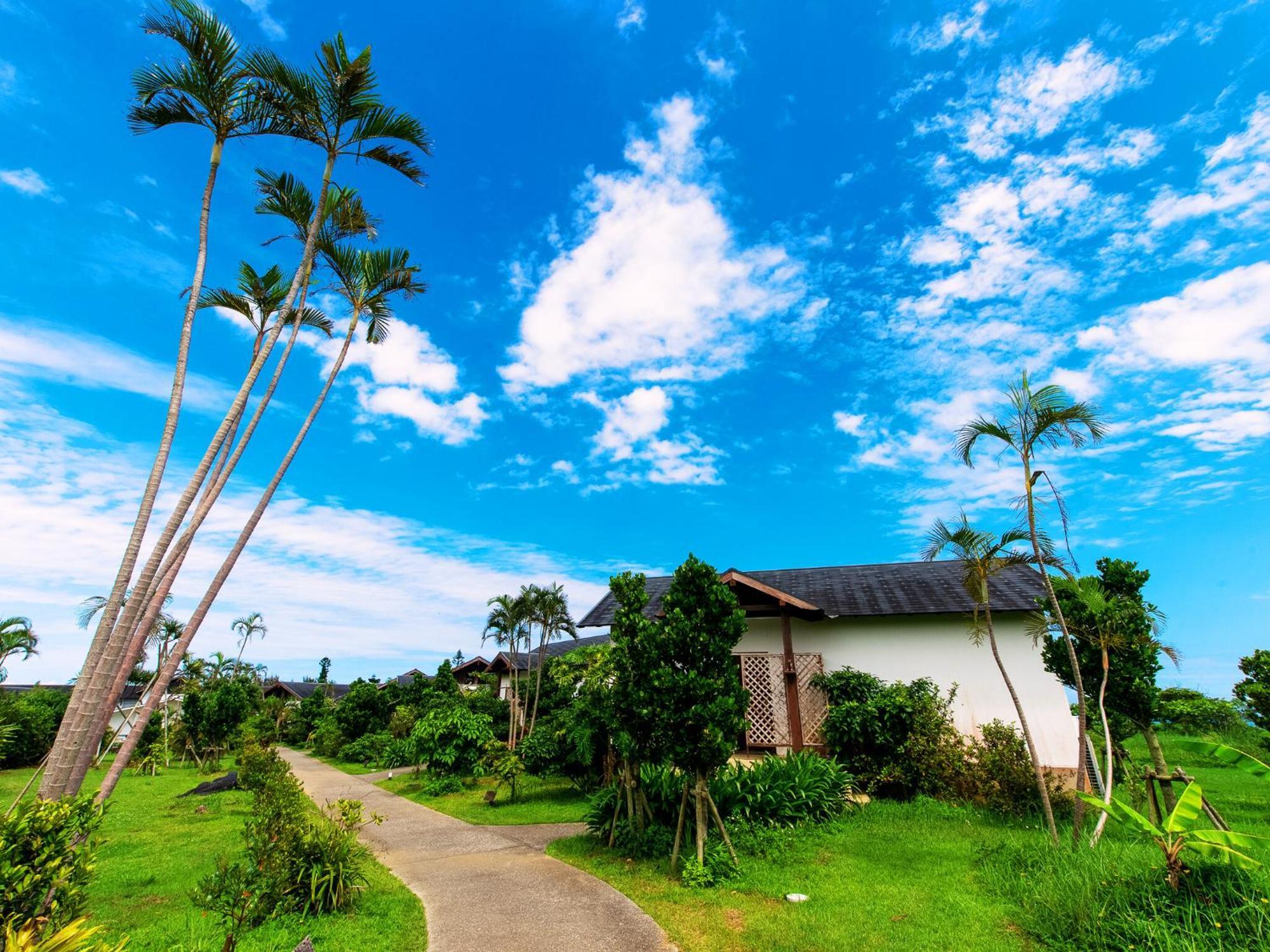 Villa Livemax Amms Canna